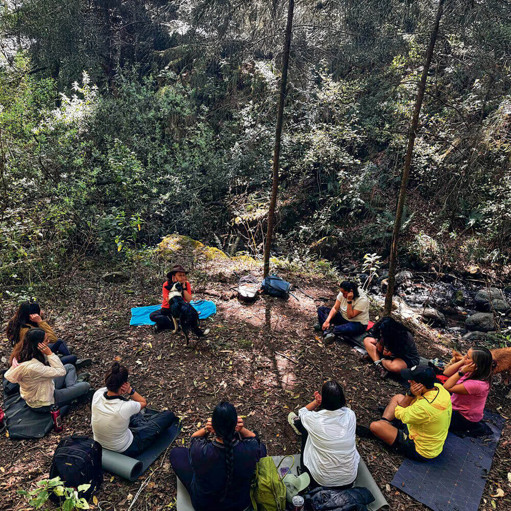 Un grupo de personas conversa en círculo en el suelo del bosque. Están rodeados de árboles y vegetación, con la luz del sol filtrándose entre las ramas. Algunos llevan esteras y mochilas cerca.